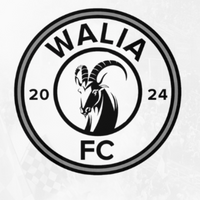 Walia FC