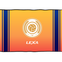 TEAM  FLAG