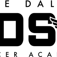 LDSA ACADEMY